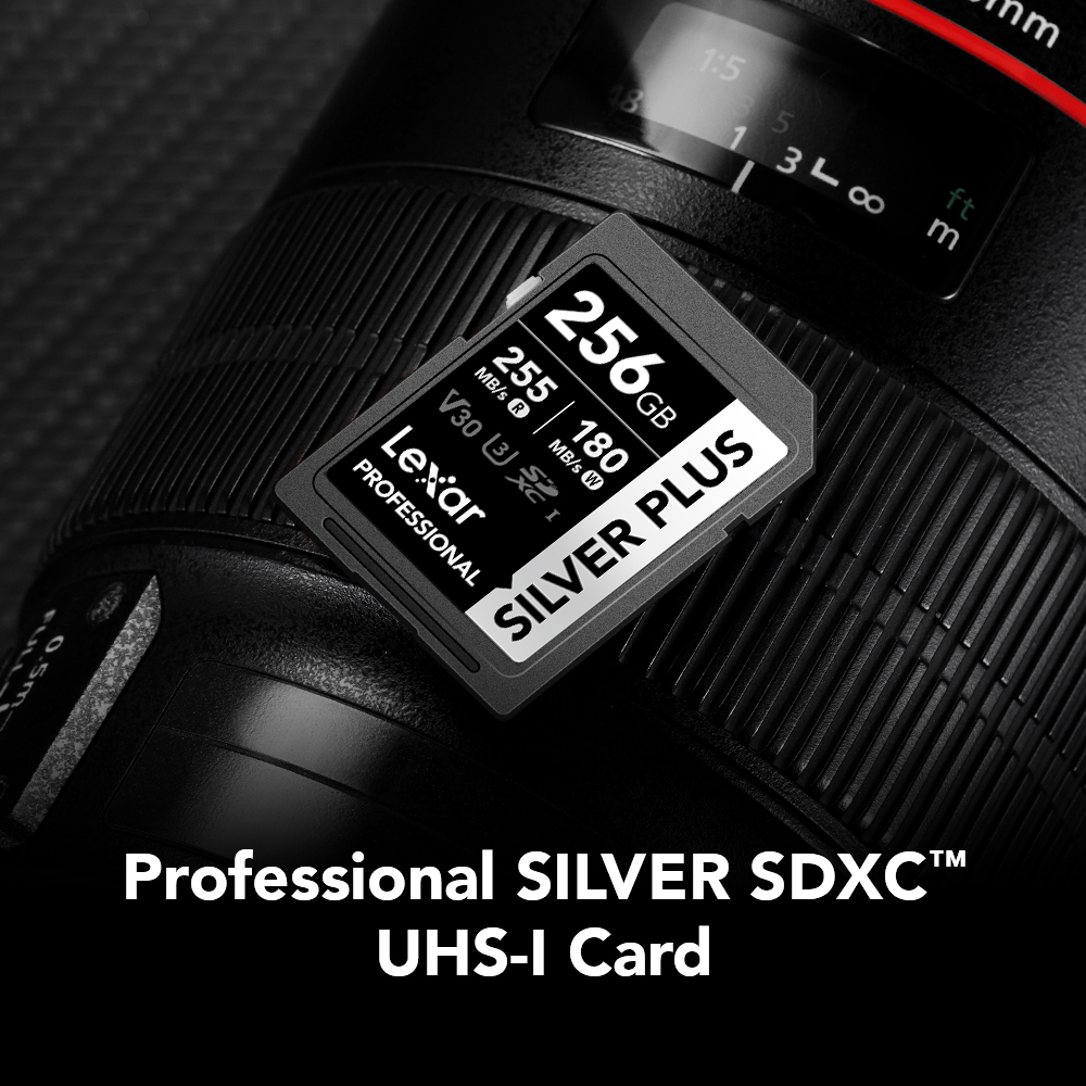 Tarjeta de memoria Lexar Professional SILVER PLUS SDXC V30 MEGA-IMPORT Argentina